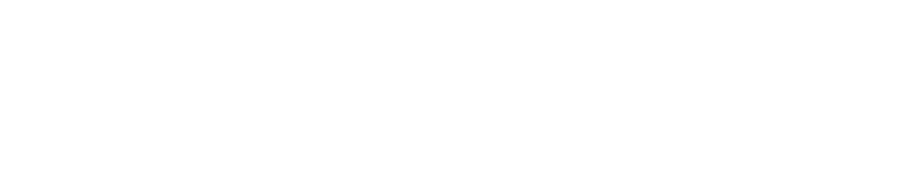 THINKBELT® most functional belt